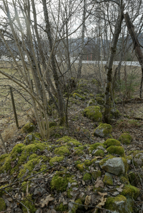 Einerholte, Longerak, Bygland, steingjerde