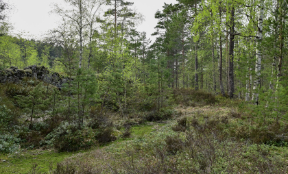 Espeland, Vennesla, steingjerde