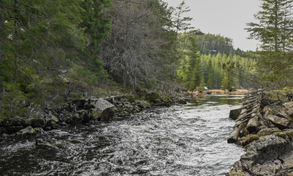 Fidjeland Austre, Vegusdal, Birkenes, stokkebru