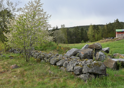 Greibrokk, Grendi, Bygland, steingjerde