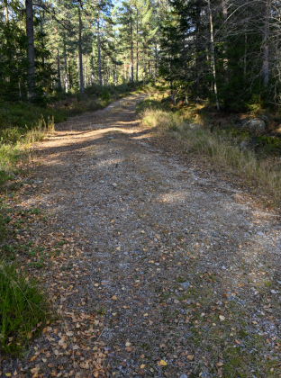 Lidtveit-Hovatn, &Aring;raksb&oslash;, Bygland, gamal veg