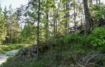 H&aring;rtveit, Grindheim, steingjerde 