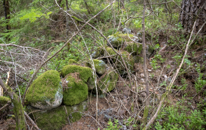 H&oslash;versland, H&aelig;geland, steingjerde