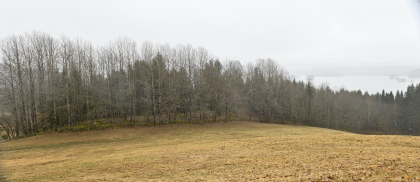 Kalvehagen, Engesland, Birkenes, steingjerde