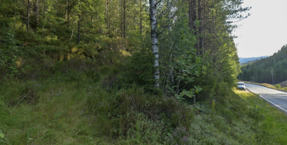 Kolandsheivegen, Askedalen, Bjelland, k&oslash;yreveg
