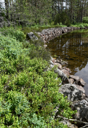 Kopps&aring;na, B&aring;s, &Aring;mli, flotingsskjerm
