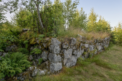 Liane, Gunstveit, H&aelig;geland, hustuft