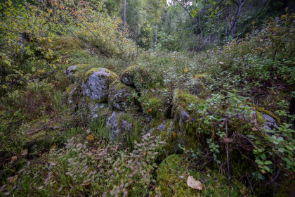 Lijordet, &Oslash;vre D&aring;svatn, Hornnes, steingjerde