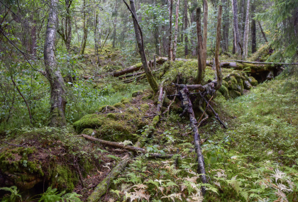Lijordet, &Oslash;vre D&aring;svatn, Hornnes, steingjerde