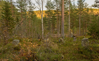 &Aring;knes, &Aring;seral, sagruin