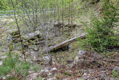 Mjun&aring;ne, Skomedal, kverntuft
