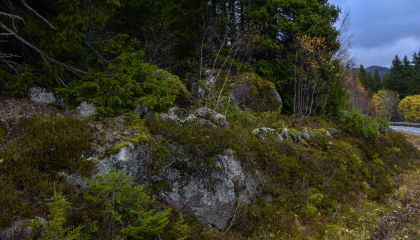 Nye Gruvevegen, Ljosland, &Aring;seral, steingjerde