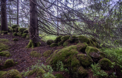 Rosseland, &Aring;seral, steingjerde