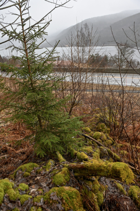 Skomedal, Bygland, steingjerde