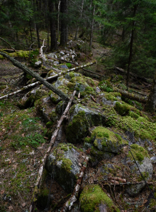 Skomedal, Bygland, steingjerde