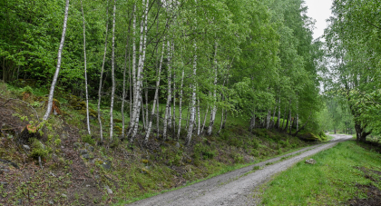 Skore, Bygland, steingjerde