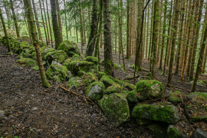 Skore, Bygland, steingjerde