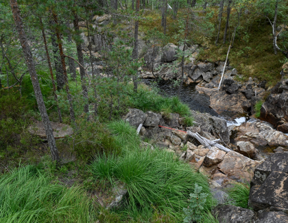 Sk&aring;rsfossen, Tv&oslash;r&aring;na, Vegusdal, kverntuft