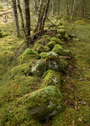 Snippen, Skomedal, Bygland, steingjerde
