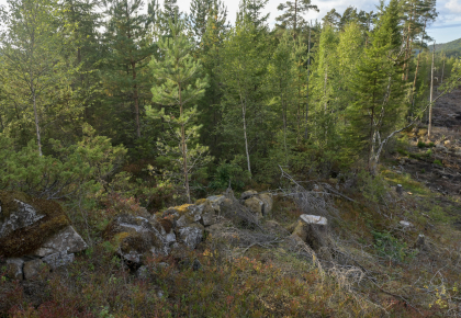 Sylvskardet, Bjelland, steingjerde