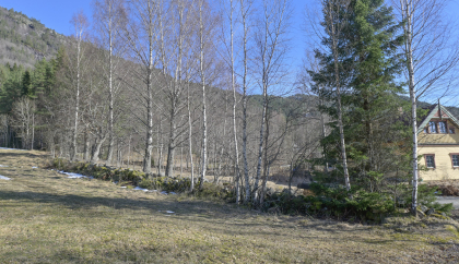 Vassend, Bygland, steingjerde