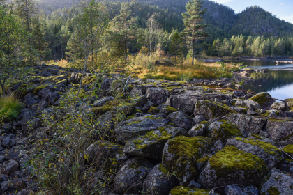 &Aring;mlidfossane, Tovdalselva, Herefoss, flotingsmur