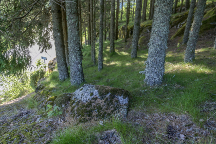&Oslash;ygarden, Bjelland, bakkemur