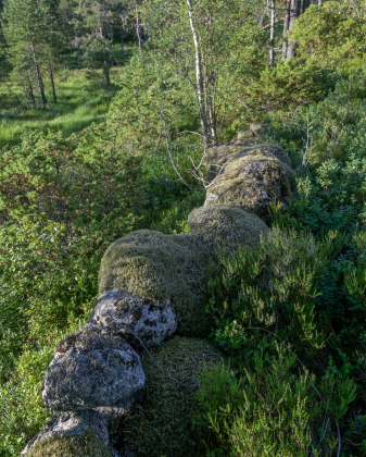 &Oslash;ygarden, Bjelland, steingjerde