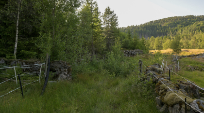 &Oslash;ygarden, Bjelland, steingjerde