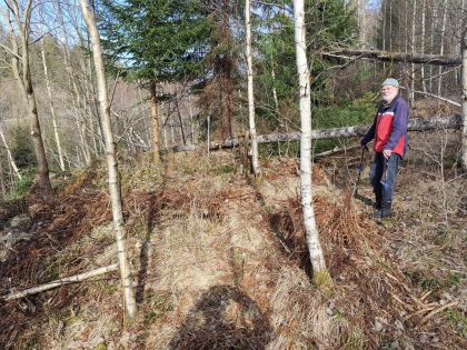 R&aring;holt (Raahougen)