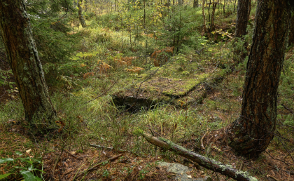Engesland, Vegusdal, Birkenes, kraftverksruin