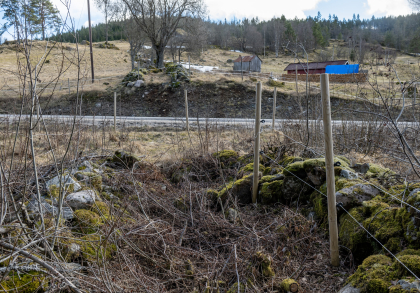 Gros&aring;s, Iveland, buveg
