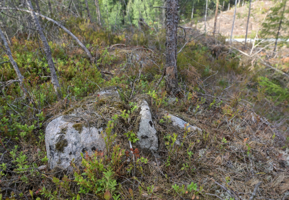 Sylvskardet, Bjelland, grensestein