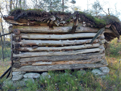 Tverrmyrsløa