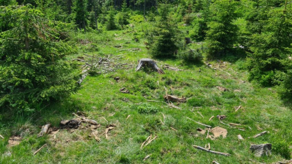 kullbunnen
