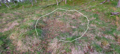 Omriss av tuftene. Ca 3x4m