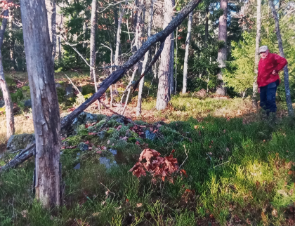 Sæland. Øygarden/Øvre Dalen.