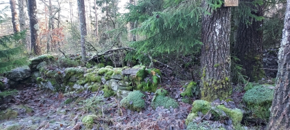 Skomageren. Hustuft etter husmannsplass.