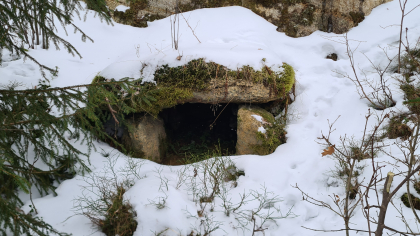 Linbrekkerovn Kj&aelig;r