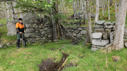 Djubali&aring;, H&aring;heller, Lysefjorden