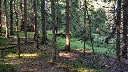 B&aelig;r&aring;s.