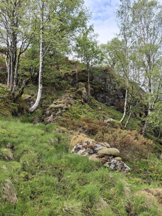 Steingard