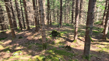 Kullebunn S ved Hust&oslash;mmer&aring;sen