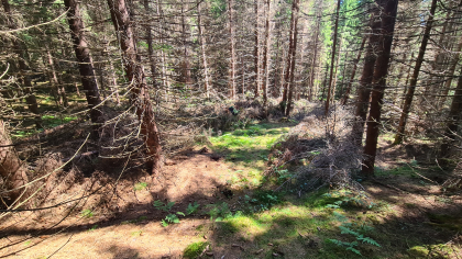 Kullebunn N ved Hust&oslash;mmer&aring;sen