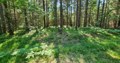 Kullmile ved Hauglandtjenn