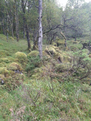 Steingard