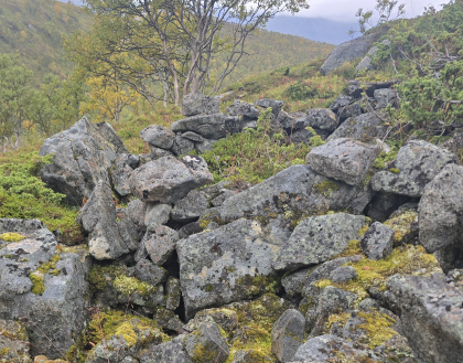 Mulig fangstanlegg av villrein.