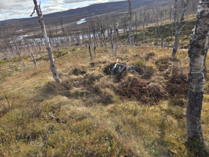 Rester av gamme