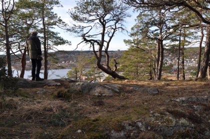 Nytaarsgave forsvarsskanse