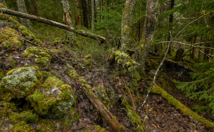 Dalebakk, Syrtveit, Evje, steingjerde